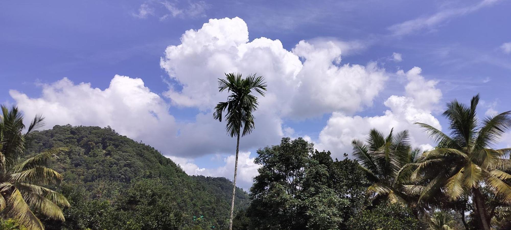 Himadri Munnar Holidays Bagian luar foto