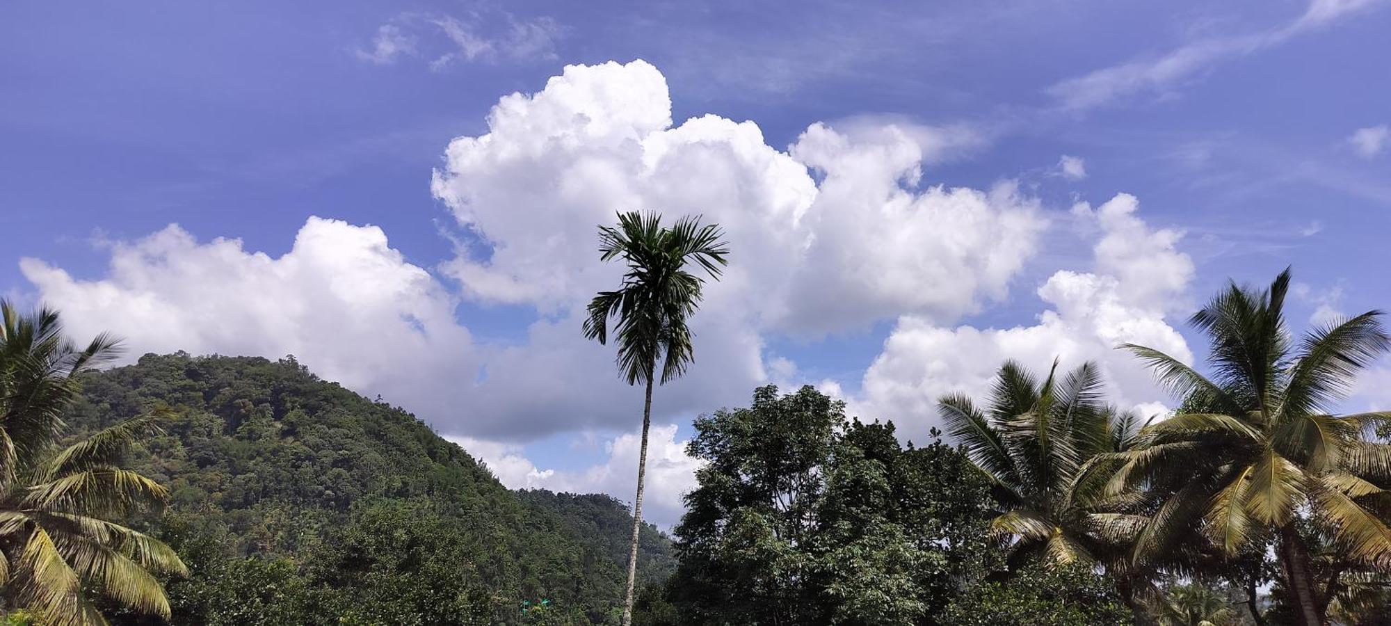 Himadri Munnar Holidays Bagian luar foto
